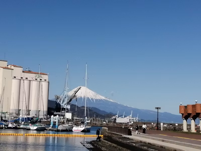 Shimizu Private Tour - Mt. Fuji in the Background