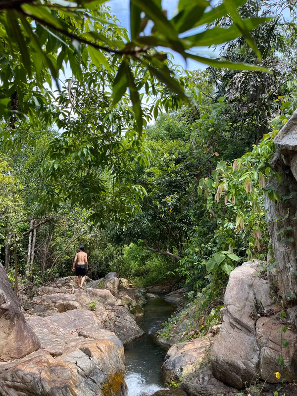 Da Nang Private Tour - Hidden stream