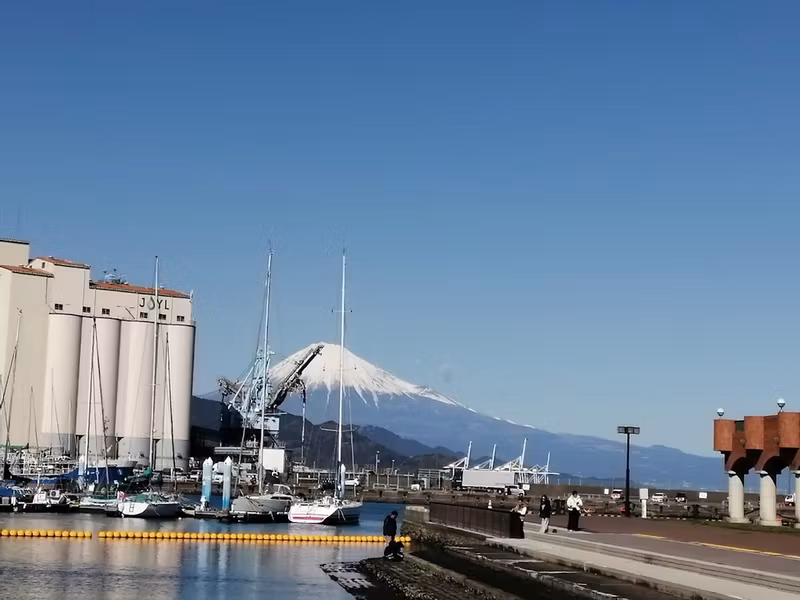 Shimizu Private Tour - 