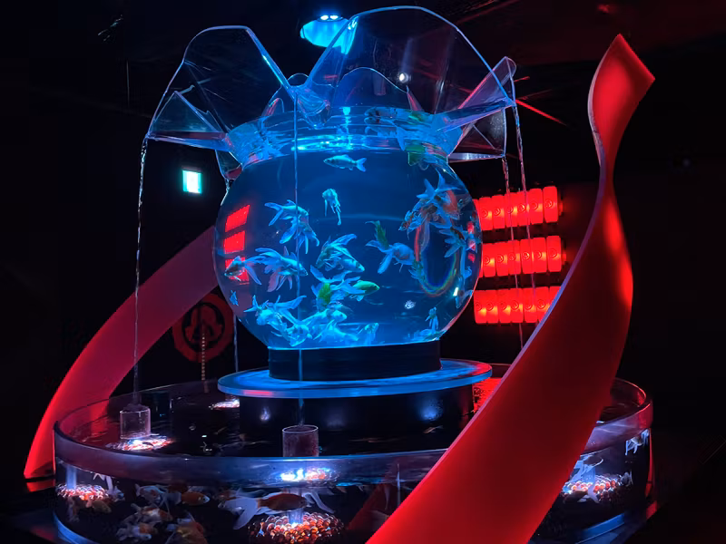 Tokyo Private Tour - M11. Art Aquarium Ginza