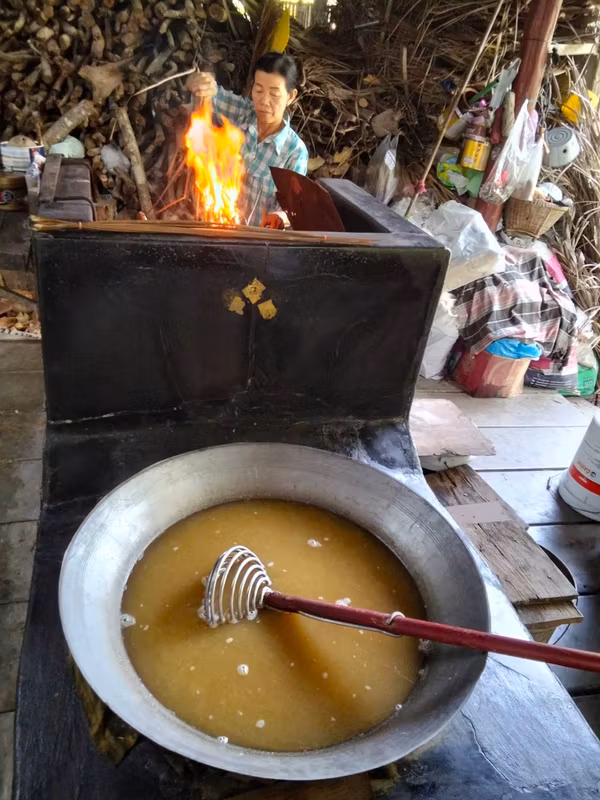 Bangkok Private Tour - Discover the traditional art of making palm sugar