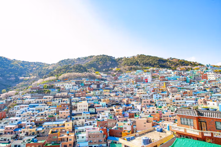 Busan Private Tour - 