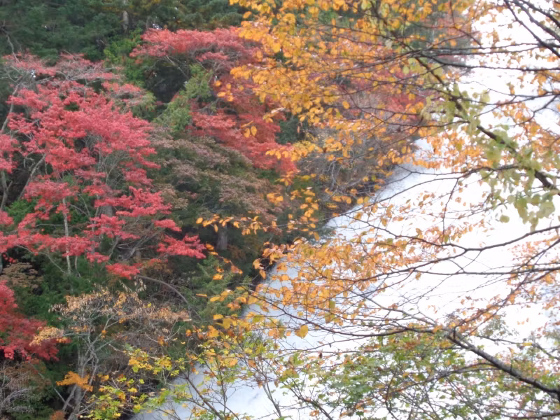 Tokyo Private Tour - Wasserfall Yu-no-Taki am Yunoko-See
