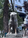 Tokyo Anime Full-day Tour - 1