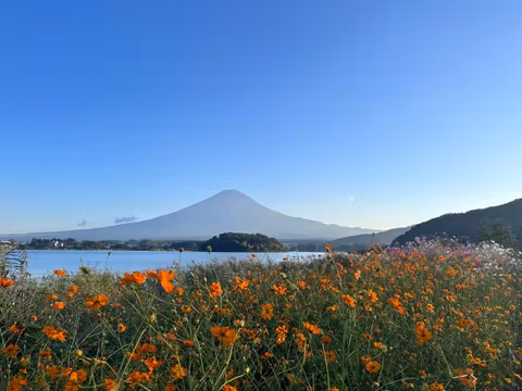 Mt Fuji & Lake Kawaguchi : Private Half Day Tour with Local Guidecover image