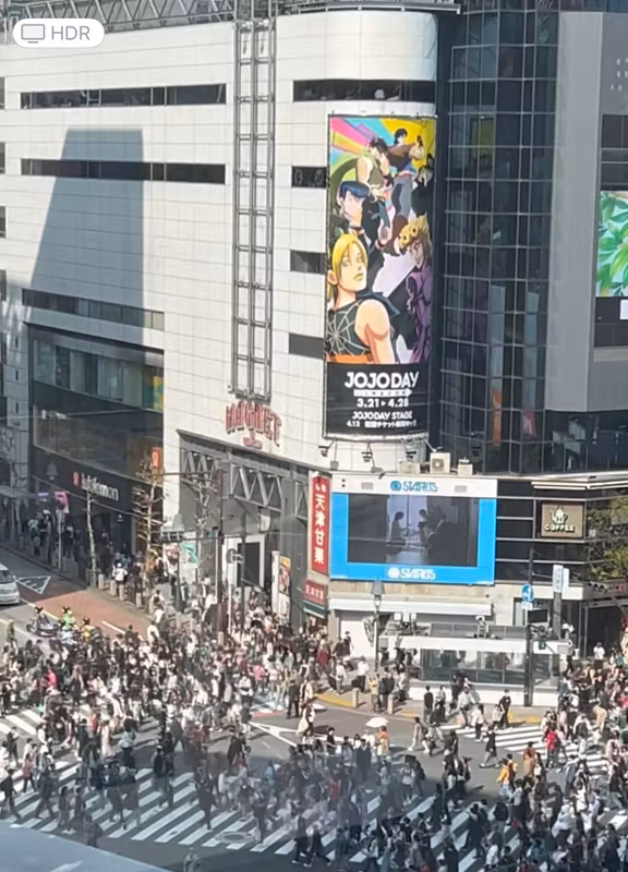 Tokyo Private Tour - Shibuya crossing