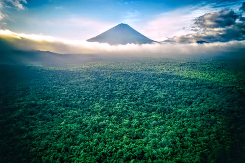 Feel Great Nature of Mt.Fuji & Mystical Forest Aokigahara