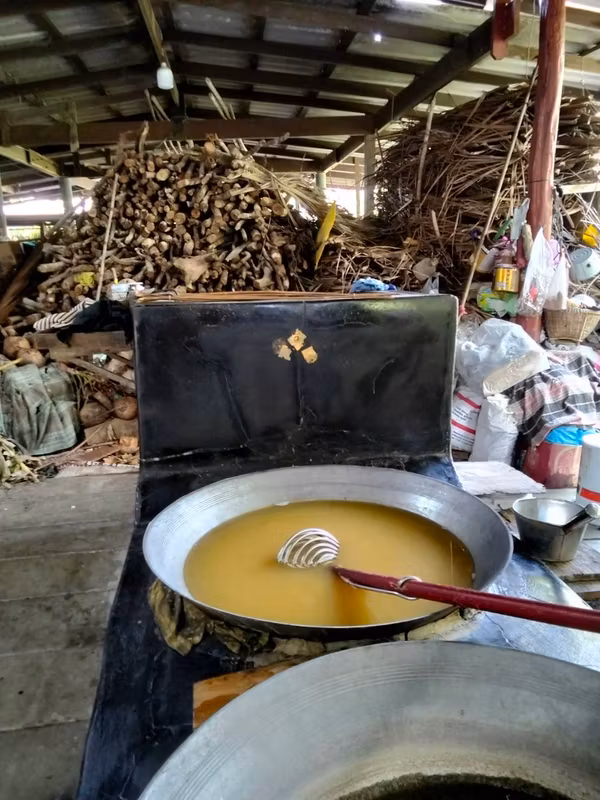 Bangkok Private Tour - Discover the traditional art of making palm sugar