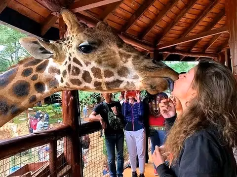 Nairobi Private Tour - 