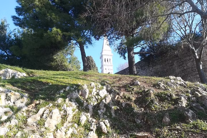 Istria Private Tour - 