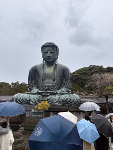 Kamakura Historical Full Day Tourcover image