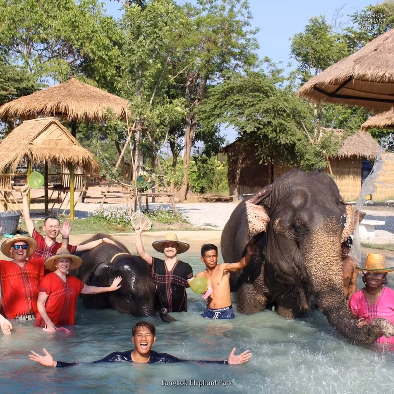 Bangkok Private Tour - Have fun and bath with elephant
