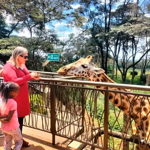 Nairobi Private Tour - 