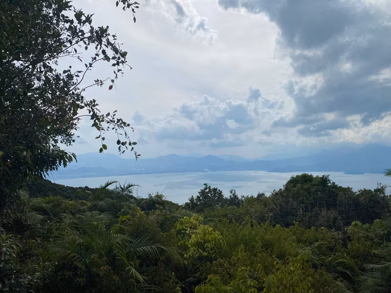 Da Nang Private Tour - City view from the jungle