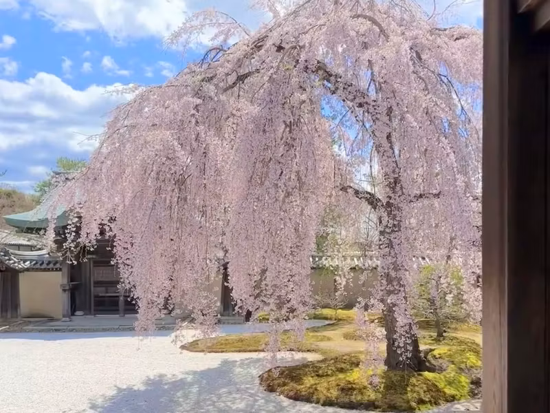 Kyoto Private Tour - 
