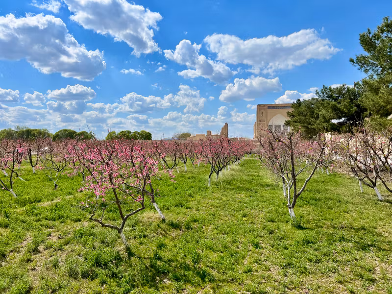 Bukhara Private Tour - Fruits Garden in Chor Bakr Complex (10-16 cc)