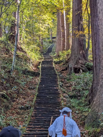 Mt. Haguro Pilgrimage Hike & Shojin Ryori Vegetarian Lunchcover image