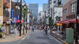Tokyo Highlights Private Tour : For Any Group Size with a Friendly Local Guide! - 4