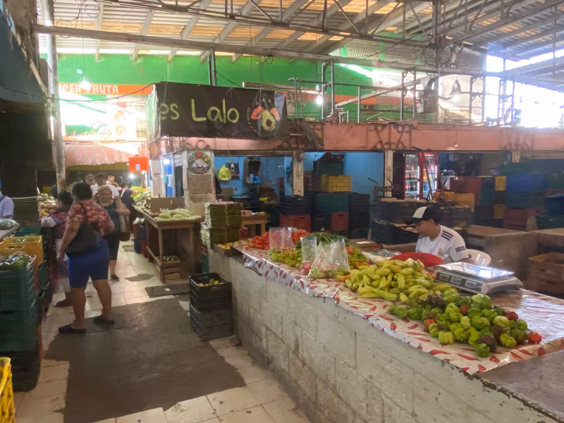 Merida Private Tour - 