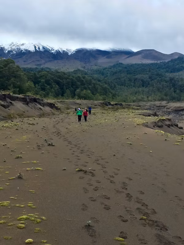Puerto Varas Private Tour - Vicente Perez Rosales National P Patagonia trails.