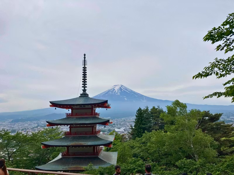 Tokyo Private Tour - Where tradition meets eternity — Mt. Fuji