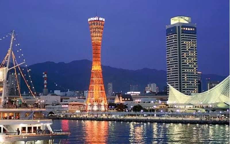 Hyogo Private Tour - 