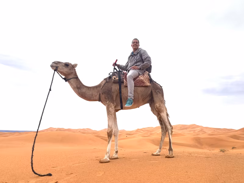 Casablanca Private Tour - 
