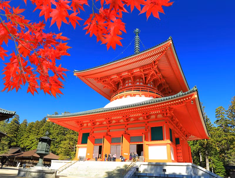 Mount Koya Private Tour - 
