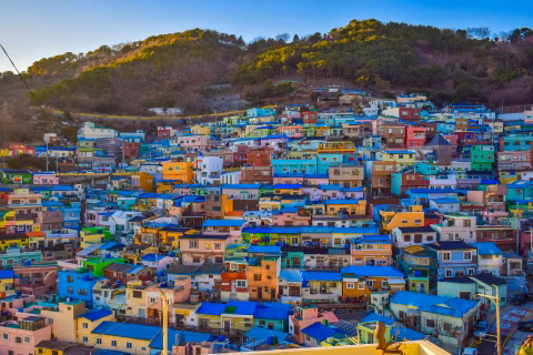 [from Busan Port] Private Sedan Taxi Tour_Cruise Shore Excursion (1-4pax)cover image
