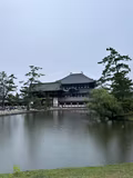 Full-Day Nara tour from Kyoto with a private guide - 2