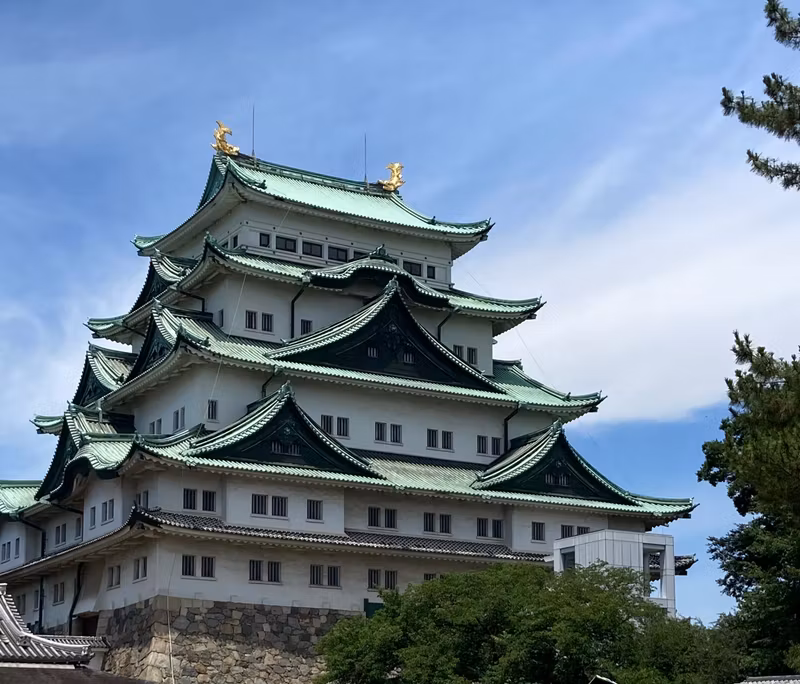 Nagoya Private Tour - Nagoya Castle