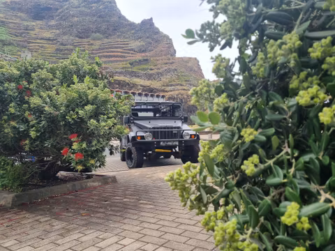 5 Hours Northwest tour to Porto Moniz, rock pools, waterfallscover image