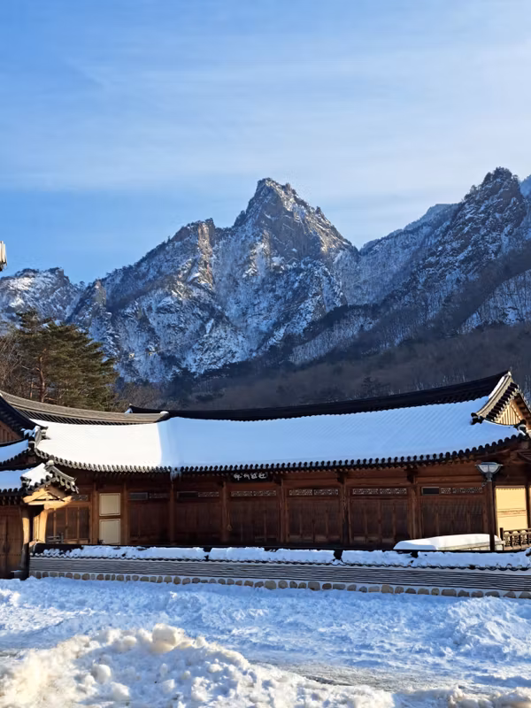 Seoul Private Tour - Korean mountains in winter