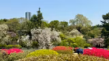 Tokyo tour à la carte - 2