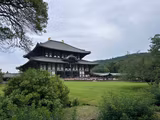 Full-Day Nara tour from Kyoto with a private guide - 3
