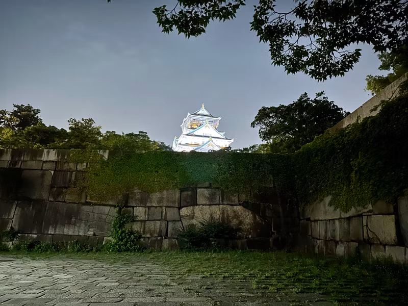 Osaka Private Tour - Mainkeep tower view against moat