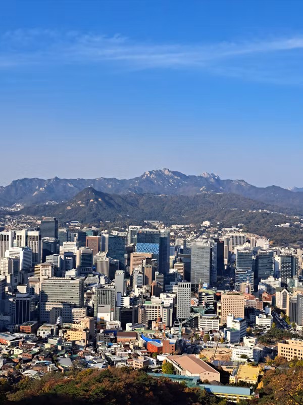 Seoul Private Tour - Namsan Mountain
