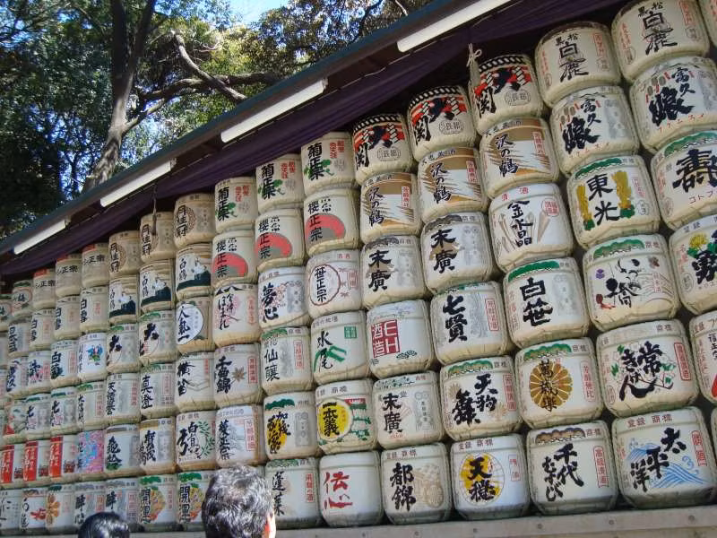 Tokyo Private Tour - Meiji Shrine