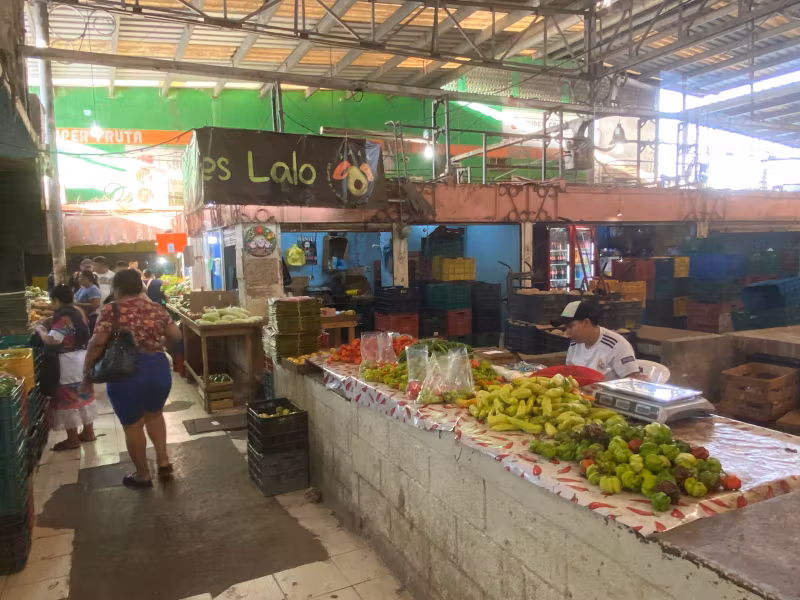 Merida Private Tour - 