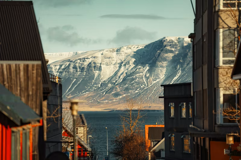 Reykjavik Private Tour - City street