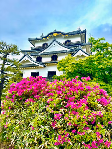 Private Car Tour - Enjoy the authentic castle towns and famous Oumi beef just outside Kyotocover image