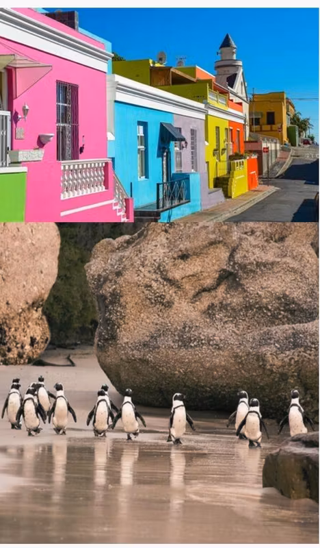 Cape Town Private Tour - 