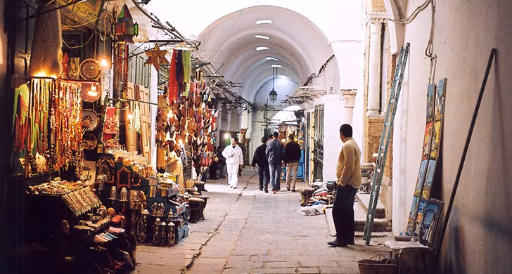 Tunis Private Tour - 