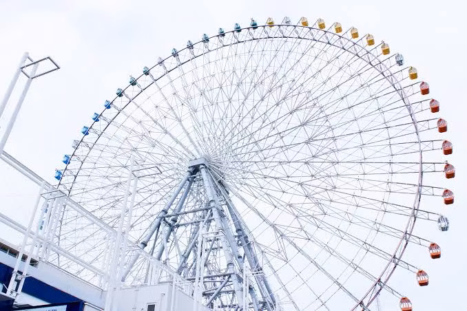 Osaka Private Tour - Tempozan Giant Ferris Wheel