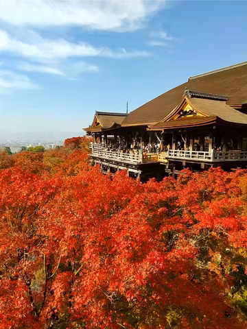 Waiting for you in Kyoto!