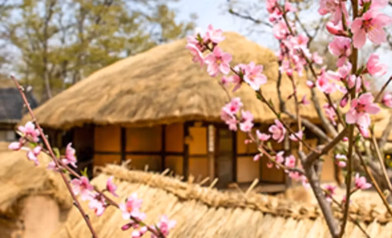Seoul Private Tour - Korean Folk Village
