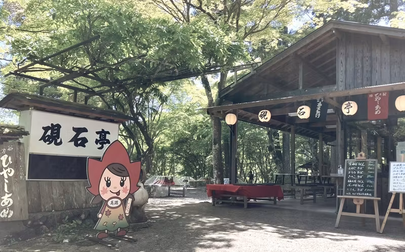 Kyoto Private Tour - Teahouse on the approach