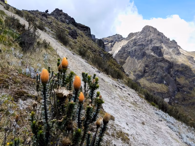 Pichincha Private Tour - Rucu Pichincha