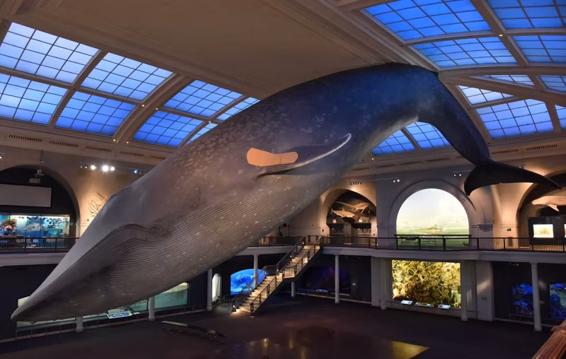 New York Private Tour - 