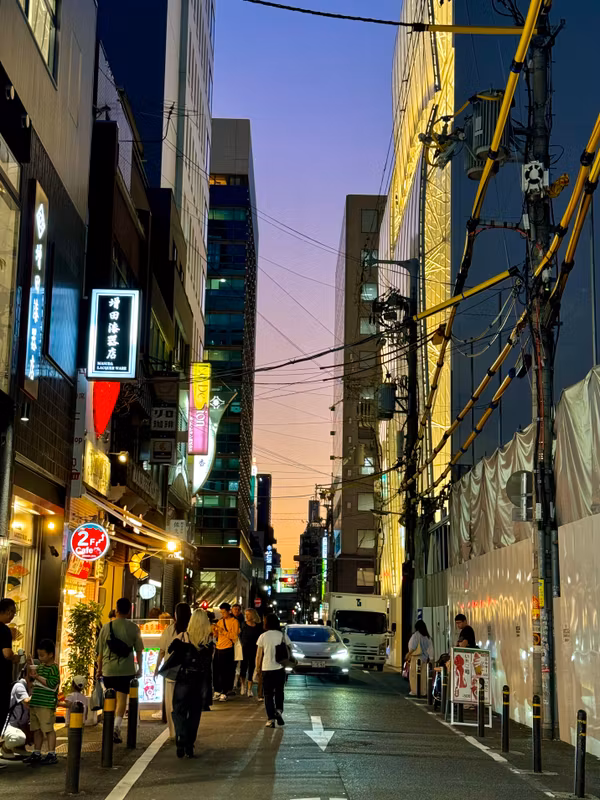 Osaka Private Tour - 